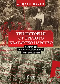 Корица: Три истории от Третото българско царство