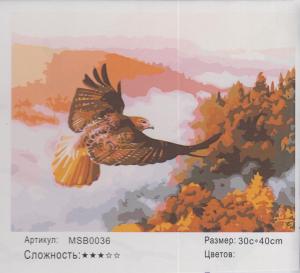 Корица: Картина по номера MSB0036