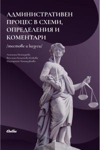 Корица: Aдминистративен процес в схеми, определения и коментари